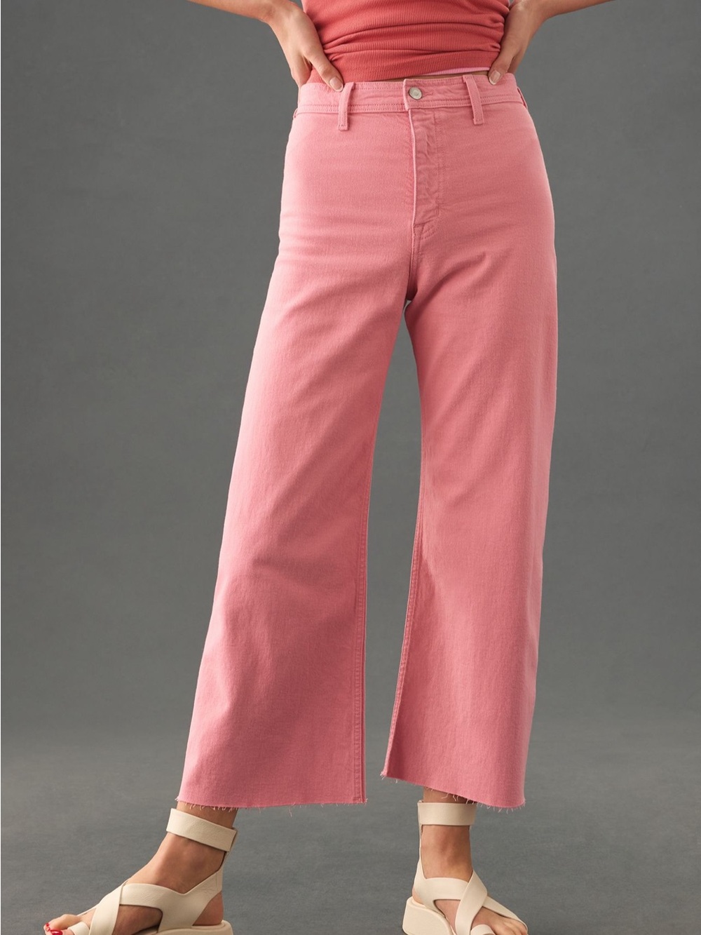 NWT Pistola Penny High-Rise Wide-Leg Crop Jeans